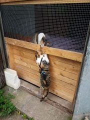 018 anderlangenleine copy