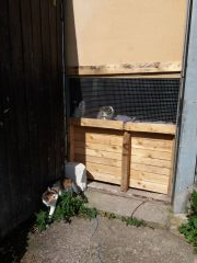 018 anderlangenleine copy