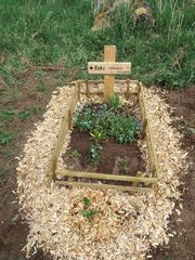 007 2018 katzenleben copy