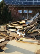 041 katzenleben 2018 2020 copy