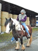 2007 047 tsns evolution