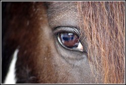 2008 002 Fotoshooting Mai