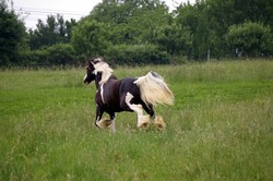 2008 005 Fotoshooting Mai