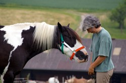 2008 009 Fotoshooting Mai