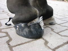 2010 037 hufschuhtest november