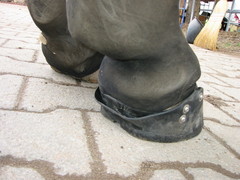 2010 038 hufschuhtest november