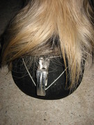 2010 041 hufschuhtest november