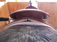 2011 004 equiflex snake februar