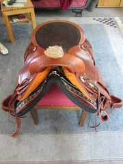 2011 021 equiflex shorwide mai kopie