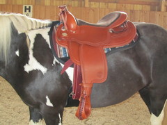 2011 023 equiflex shorwide mai