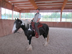 2011 024 equiflex shorwide mai