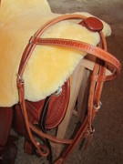 2011 025 equiflex shorwide august