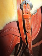 2011 026 equiflex shorwide august