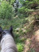 2011 027 ausritt september