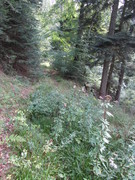 2011 028 ausritt september