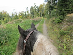 2011 031 ausritt september