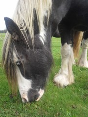 2014 011 Oktober kopie