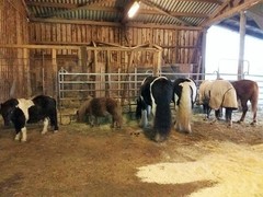 2016 007 heu satt august