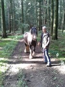 2016 015 spaziergang august