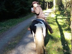 2016 017 reiten