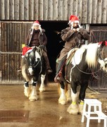 2016 036 nikolausiritt