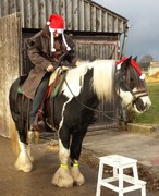 2016 037 nikolausiritt