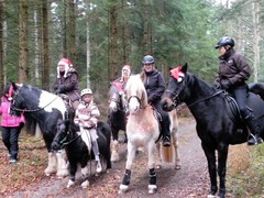 2016 039 nikolausiritt