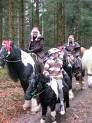 2016 040 nikolausiritt