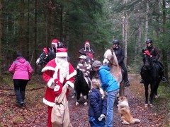 2016 041 nikolausiritt