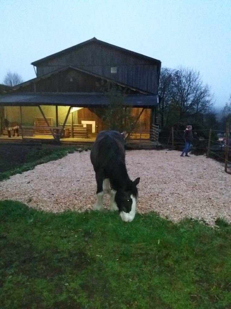 2017 191 november copy