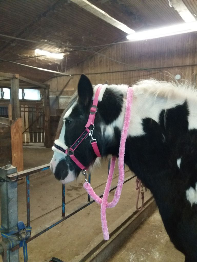 2017 193 november copy