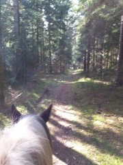 2017 040 maerz kopie