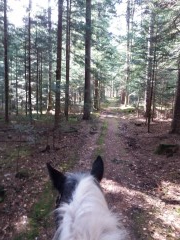 2017 040 maerz kopie