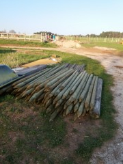 2017 050 april kopie