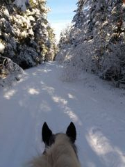 2018 003 januar copy