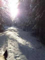 2018 004 januar copy