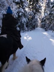 2018 005 januar copy