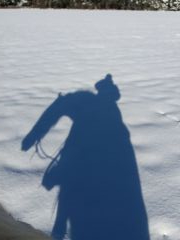 2018 007 januar copy