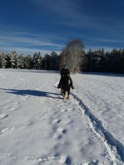 2018 008 januar copy