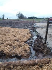 2018 126 dezember copy