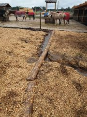 2018 127 dezembe copy