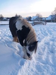 2019 004 janunar copy