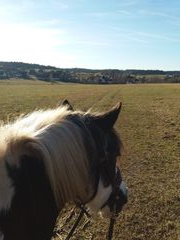 2019 008 februar copy