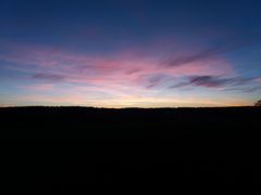 2019 008 februar copy