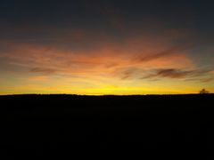 2019 008 februar copy