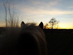 2019 008 februar copy