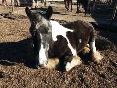 2019 008 februar copy