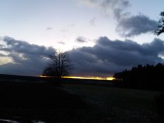 thumb 2019 015 maerz