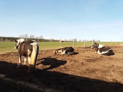 thumb 2019 015 maerz