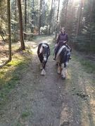 thumb 2019 015 maerz